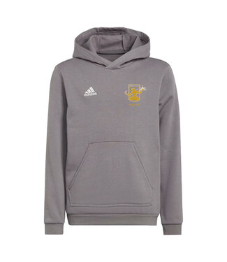 Adidas DCFC ENTRADA 22 HOODIE YOUTH (GRAY)