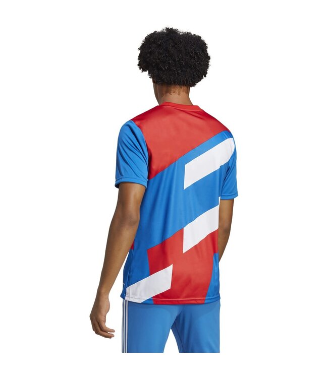 Adidas Bayern Munich 22/23 Prematch Jersey (Red/Blue)