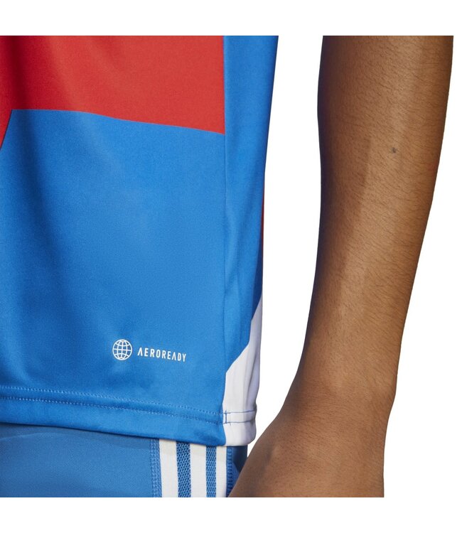 Adidas Bayern Munich 22/23 Prematch Jersey (Red/Blue)