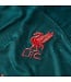 Nike Liverpool 22/23 Third Jersey (Green)