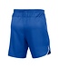 Nike Laser 5 Woven Shorts (Blue)
