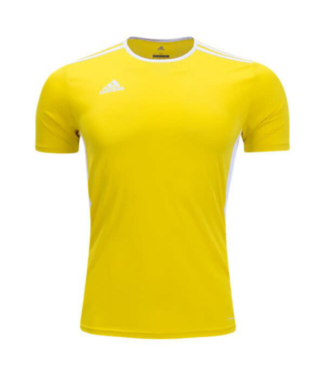 Adidas Entrada 18 Jersey (Yellow)