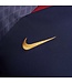 Nike PSG 23/24 Strike Training Jersey (Navy/Gold)