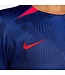 Nike USA 2023 USWNT Away Jersey Women's (Navy)