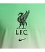 Nike Liverpool 23/24 Crest Tee (Green/White/Black)