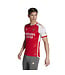 Adidas Arsenal 23/24 Home Jersey (Red/White)