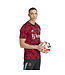 Adidas Manchester United 23/24 Prematch Jersey (Red/Black)