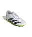 Adidas Predator Accuracy.4 FxG Jr (White/Lime)