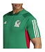Adidas Mexico 2022 Tiro Training Jersey (Green)