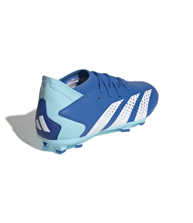 Adidas Predator Accuracy.3 FG Jr (Blue/White)
