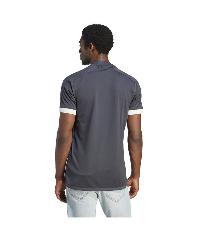 Adidas Juventus 23/24 Third Jersey (Gray/White)