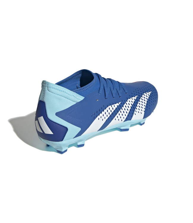 Adidas Predator Accuracy.3 FG (Blue/White)
