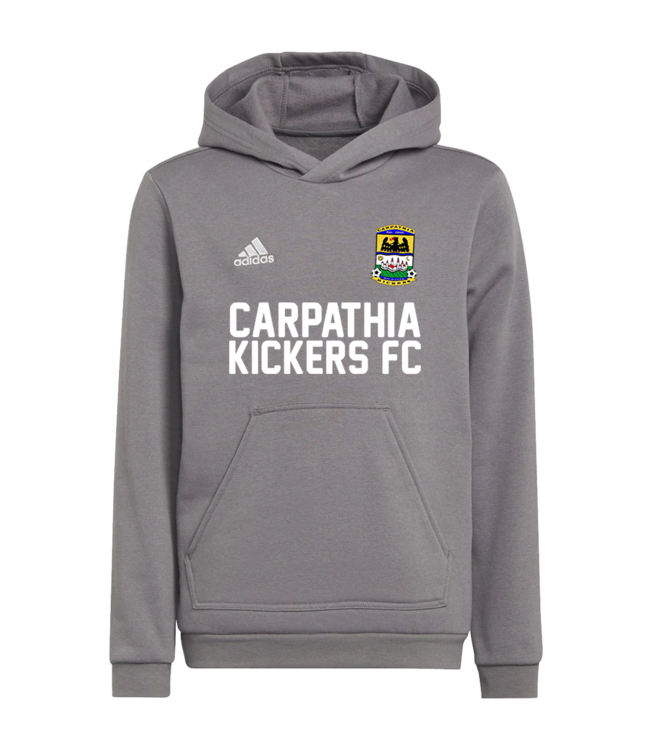 Adidas ENTRADA 22 HOODY YOUTH (GRAY)