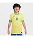 Nike Brazil 2024 Home Jersey Youth (Yellow)