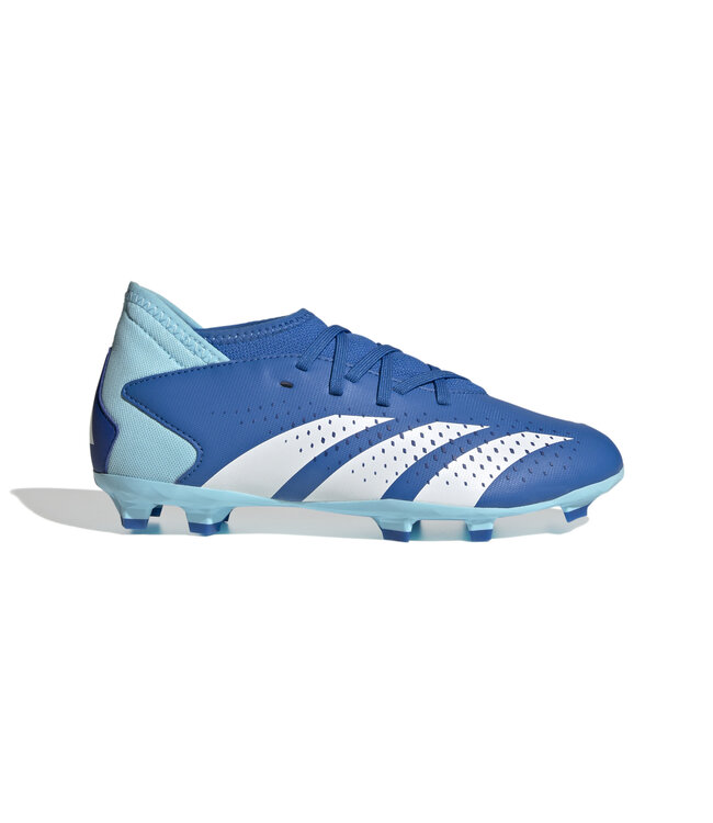 Adidas Predator Accuracy.3 FG Jr (Blue/White)