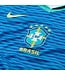 Nike Brazil 2024 Away Jersey (Blue)