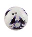 Nike Premier League Skills Mini Ball 23/24 (White/Purple)
