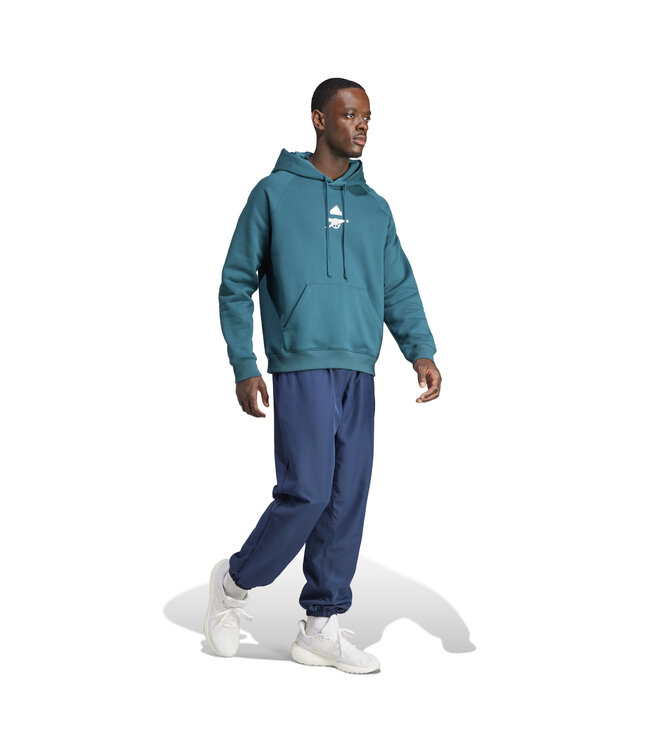 Adidas Arsenal 23/24 Lifestyle Hoodie (Teal)