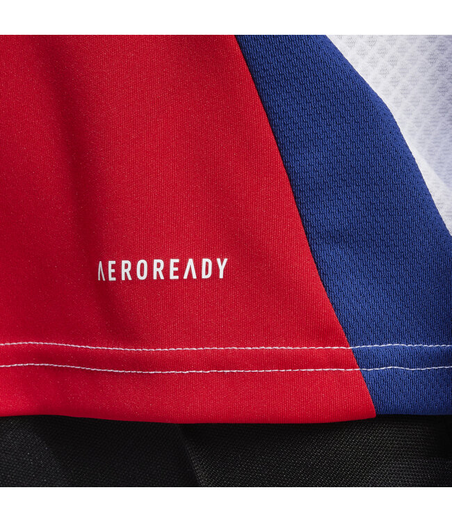 Adidas Arsenal 24/25 Home Jersey (Red/White)