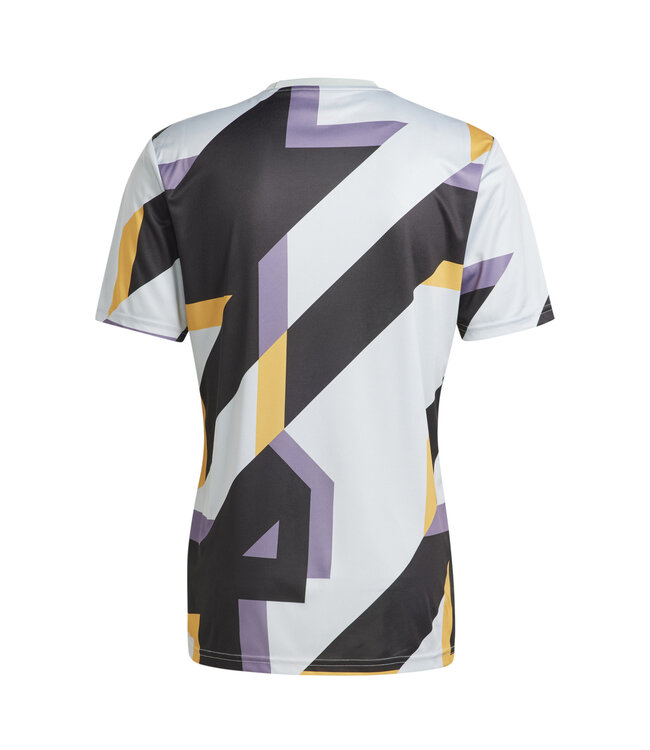 Adidas Real Madrid 23/24 Prematch Jersey (Gray/Navy)