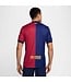 Nike FC Barcelona 24/25 Home Jersey (Blue/Red)