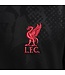 Nike Liverpool 24/25 Academy Pro Prematch Jersey (Black/Red)