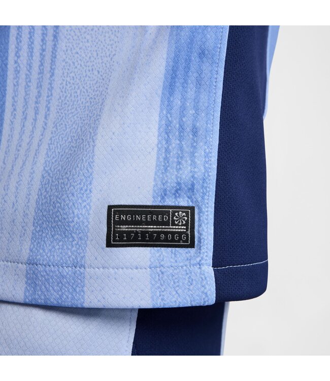 Nike Tottenham 24/25 Away Jersey (Blue)