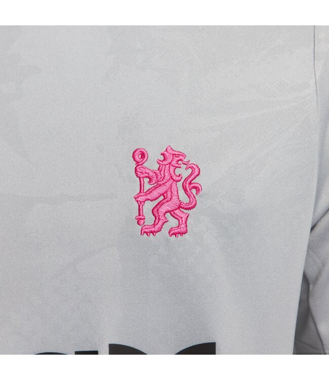 Nike Chelsea 24/25 Academy Pro Prematch Jersey (Gray)