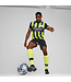 PUMA Manchester City 24/25 Away Jersey (Navy/Yellow)