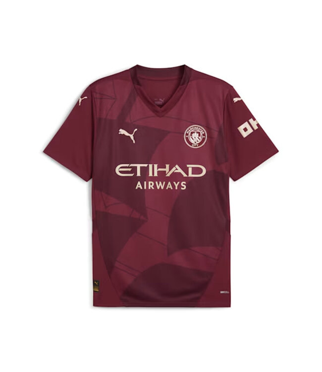 MANCHESTER CITY jersey 2013/14 #16 KUN AGUERO Champions