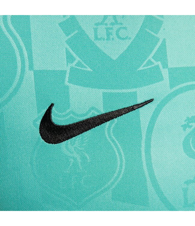 Nike Liverpool 24/25 Academy Pro Prematch Jersey (Teal)