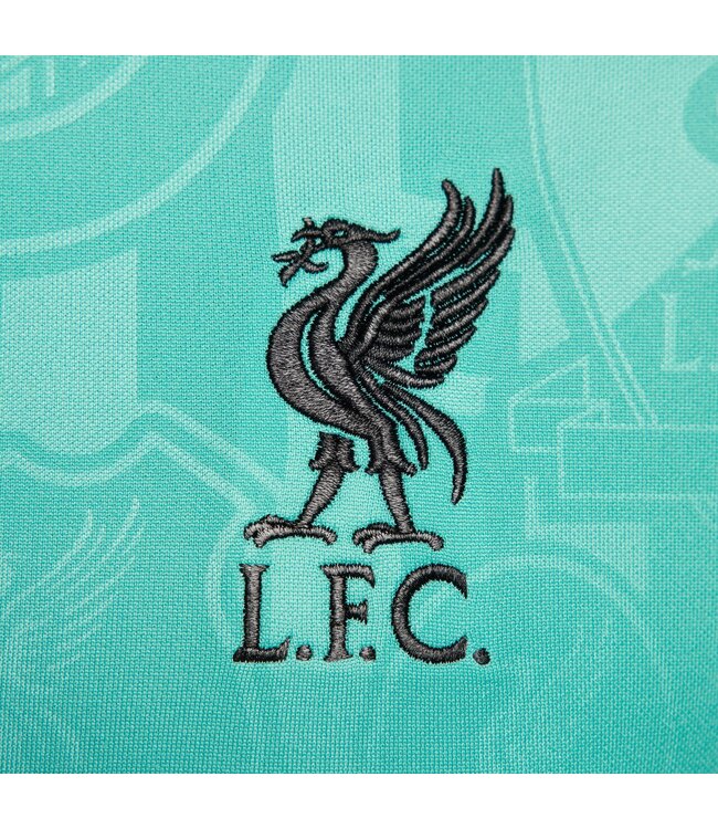 Nike Liverpool 24/25 Academy Pro Prematch Jersey (Teal)