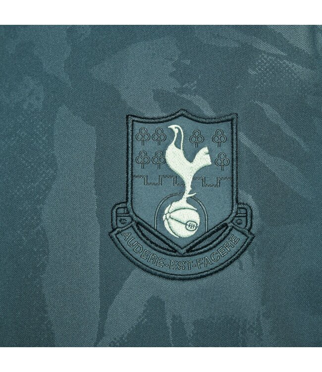 Nike Tottenham 24/25 Academy Pro Prematch Jersey Youth (Green)