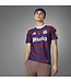 Adidas New Castle 24/25 Away Jersey (Maroon/Blue)