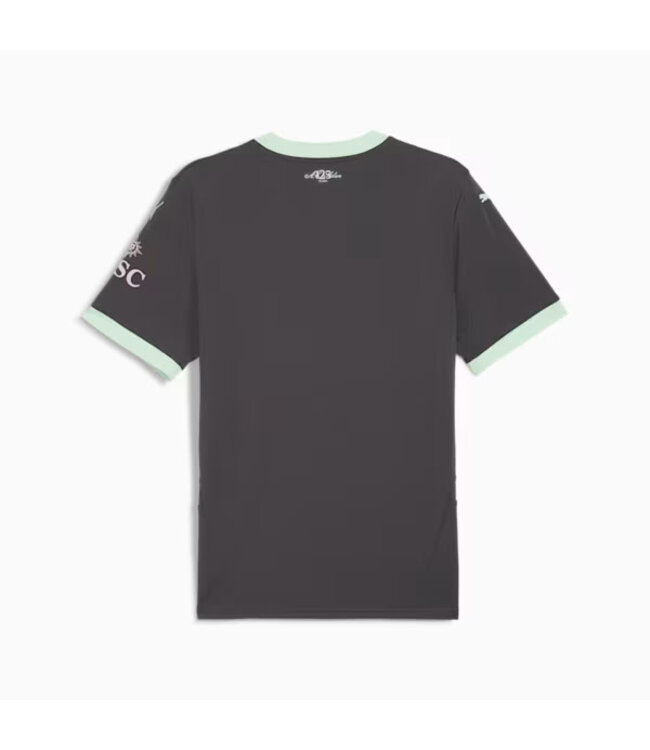 PUMA AC Milan 24/25 Third Jersey (Gray)