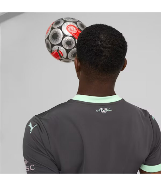 PUMA AC Milan 24/25 Third Jersey (Gray)