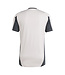 Adidas Real Madrid 24/25 European Training Jersey (Gray)