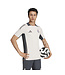 Adidas Real Madrid 24/25 European Training Jersey (Gray)