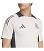 Adidas Real Madrid 24/25 European Training Jersey (Gray)