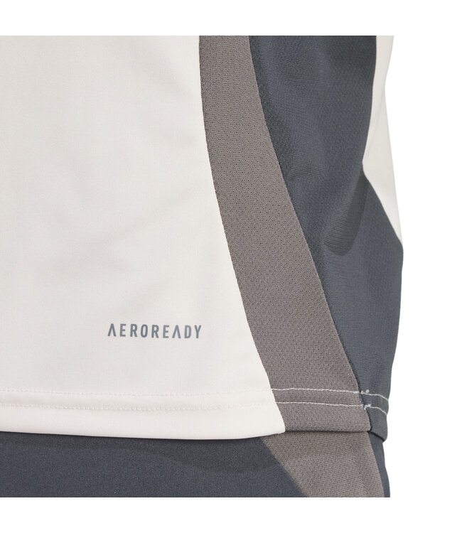 Adidas Real Madrid 24/25 European Training Jersey (Gray)