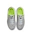 Nike Tiempo Legend 10 Academy Indoor Jr (Gray/Volt)