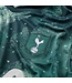 Nike Tottenham 24/25 Third Jersey (Green)