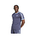 Adidas Argentina 50th Anniversary Tee (Navy)