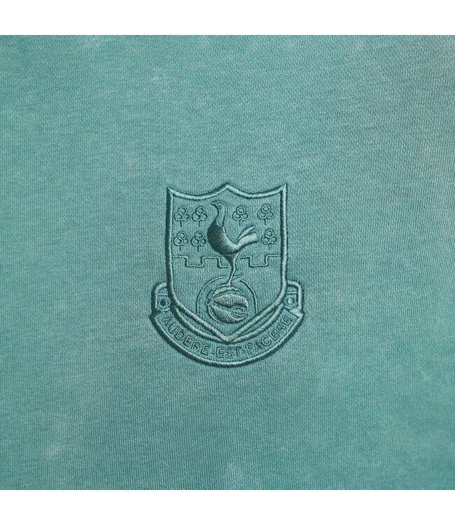 Nike Tottenham 24/25 Club French Terry Pullover Hoodie (Green)