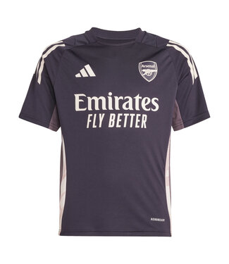 Adidas Arsenal 24 25 Tiro Training Jersey Youth Purple Pink