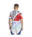 Adidas Arsenal 24/25 Prematch Jersey (Multi)