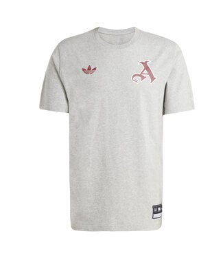 Adidas ARSENAL 24/25 VRCT TEE (GRAY)