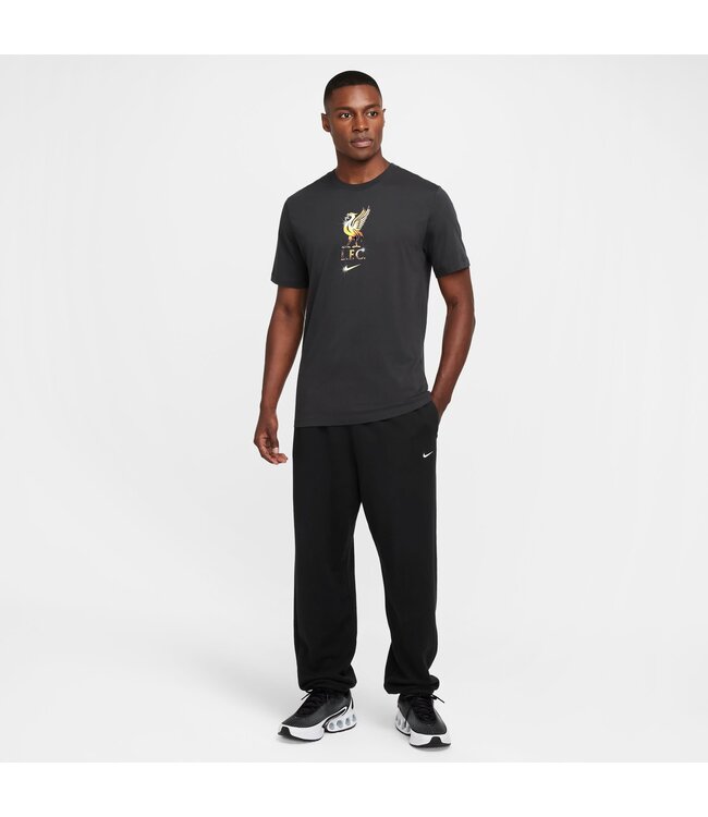 Nike Liverpool 24/25 Crest Tee (Gray)