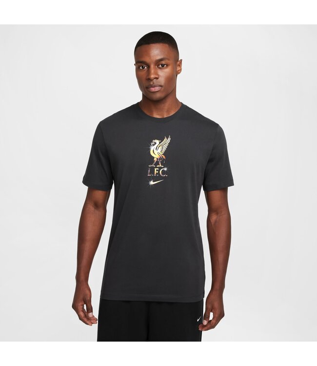 Nike Liverpool 24/25 Crest Tee (Gray)
