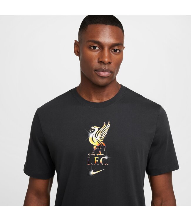 Nike Liverpool 24/25 Crest Tee (Gray)